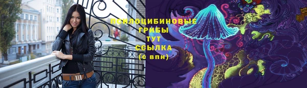 прущие грибы Алексеевка