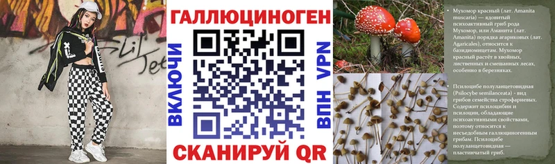 Галлюциногенные грибы Psilocybe  Смоленск 