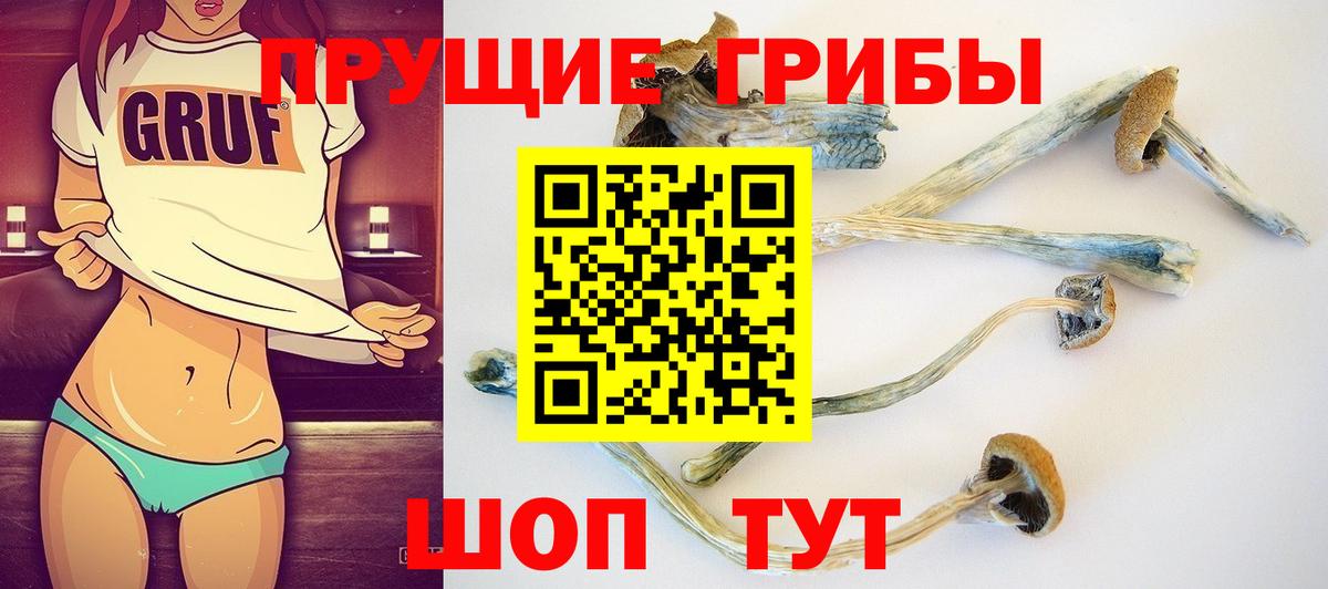 Псилоцибиновые грибы Psilocybe  даркнет сайт  Смоленск  Вход с VPN 